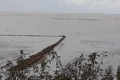 Image-1-11
