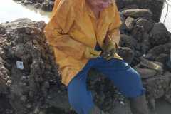Image-1-20